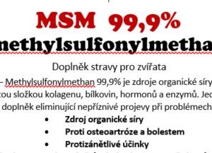 MSM pro koně