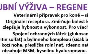 Sirup KLOUBNÍ VÝŽIVA pro koně